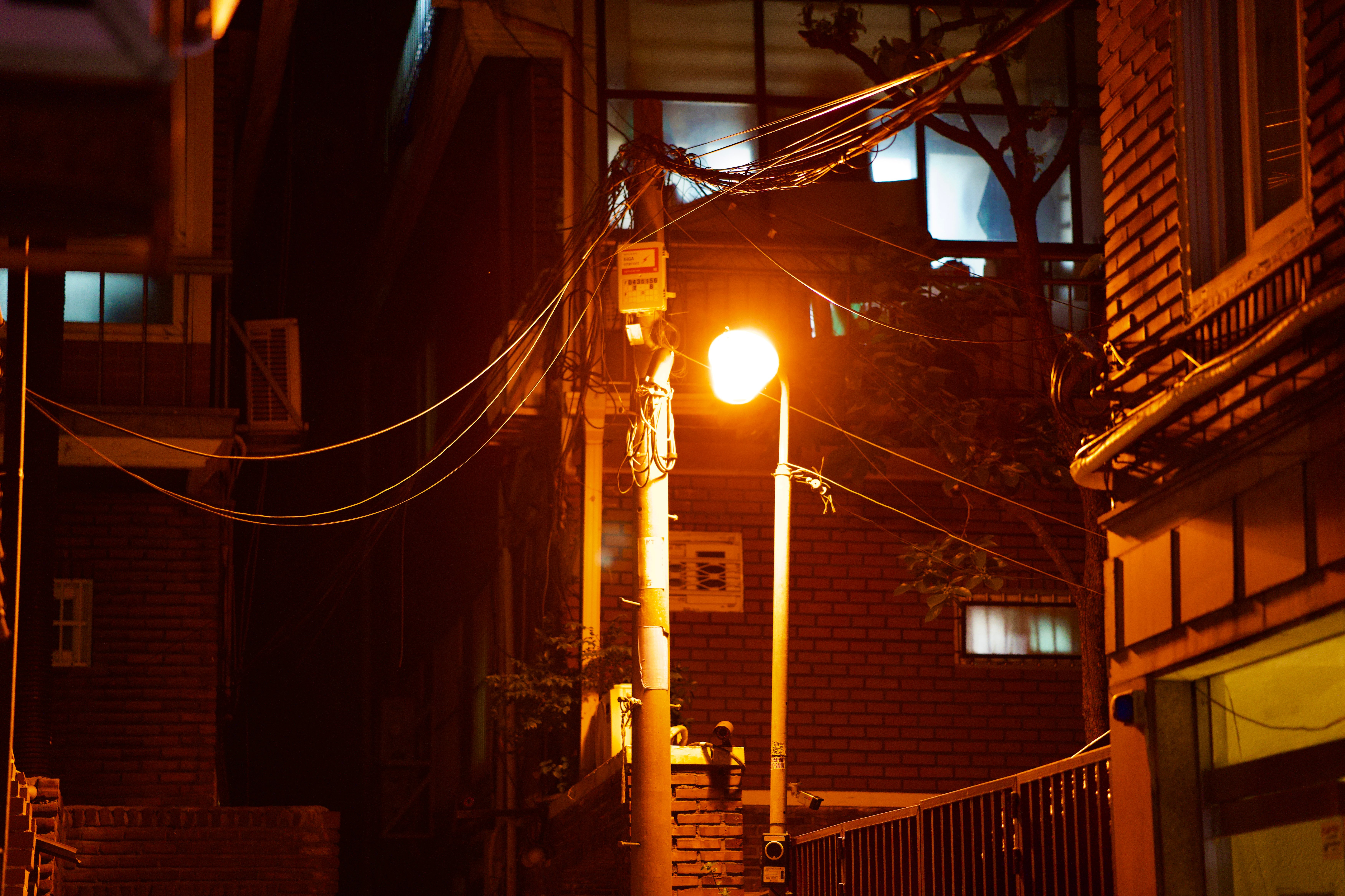 DSC01523.jpeg