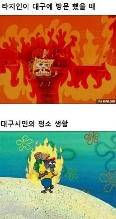 대구 더위_1.jpeg