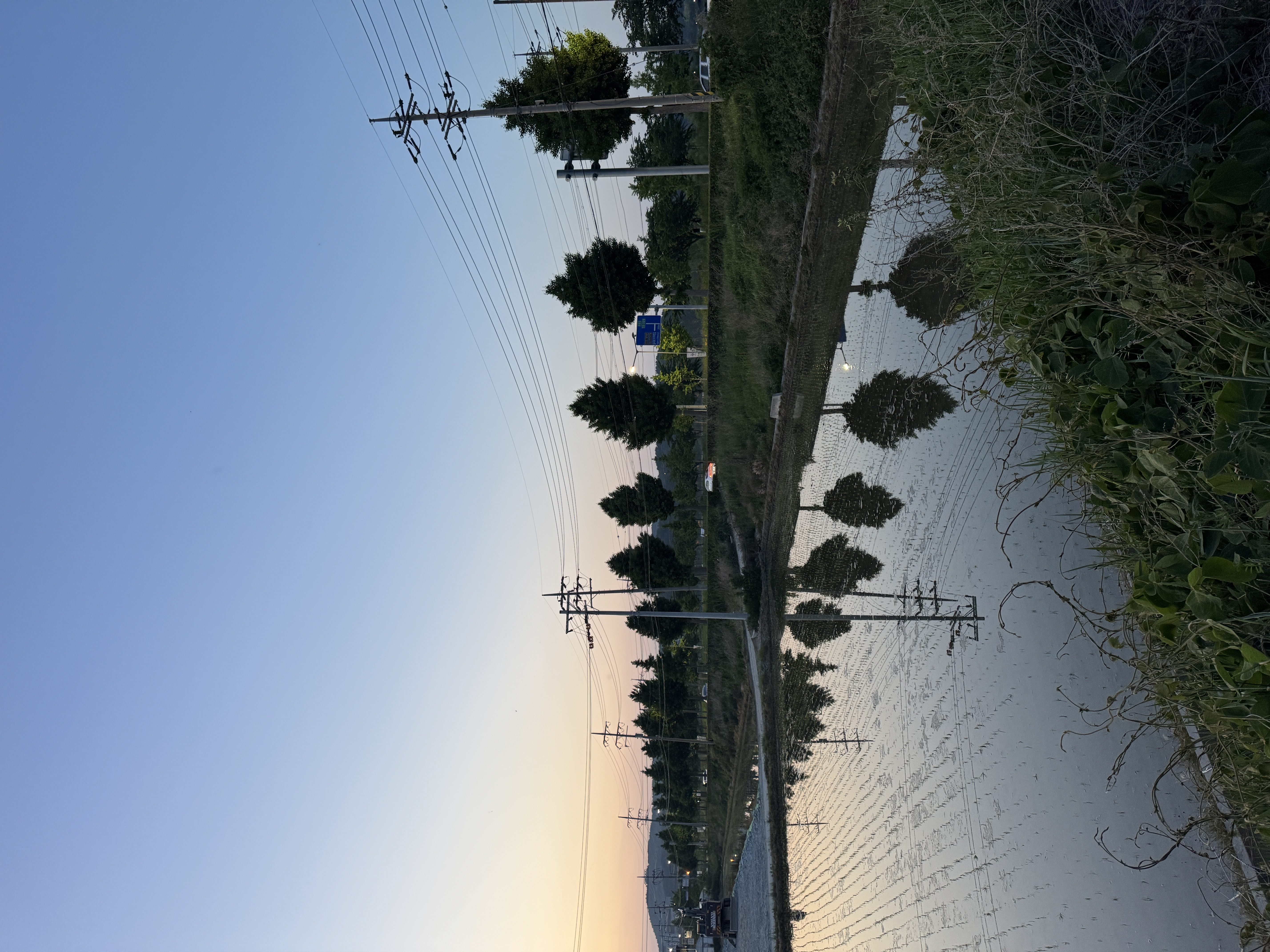 IMG_1737.JPEG