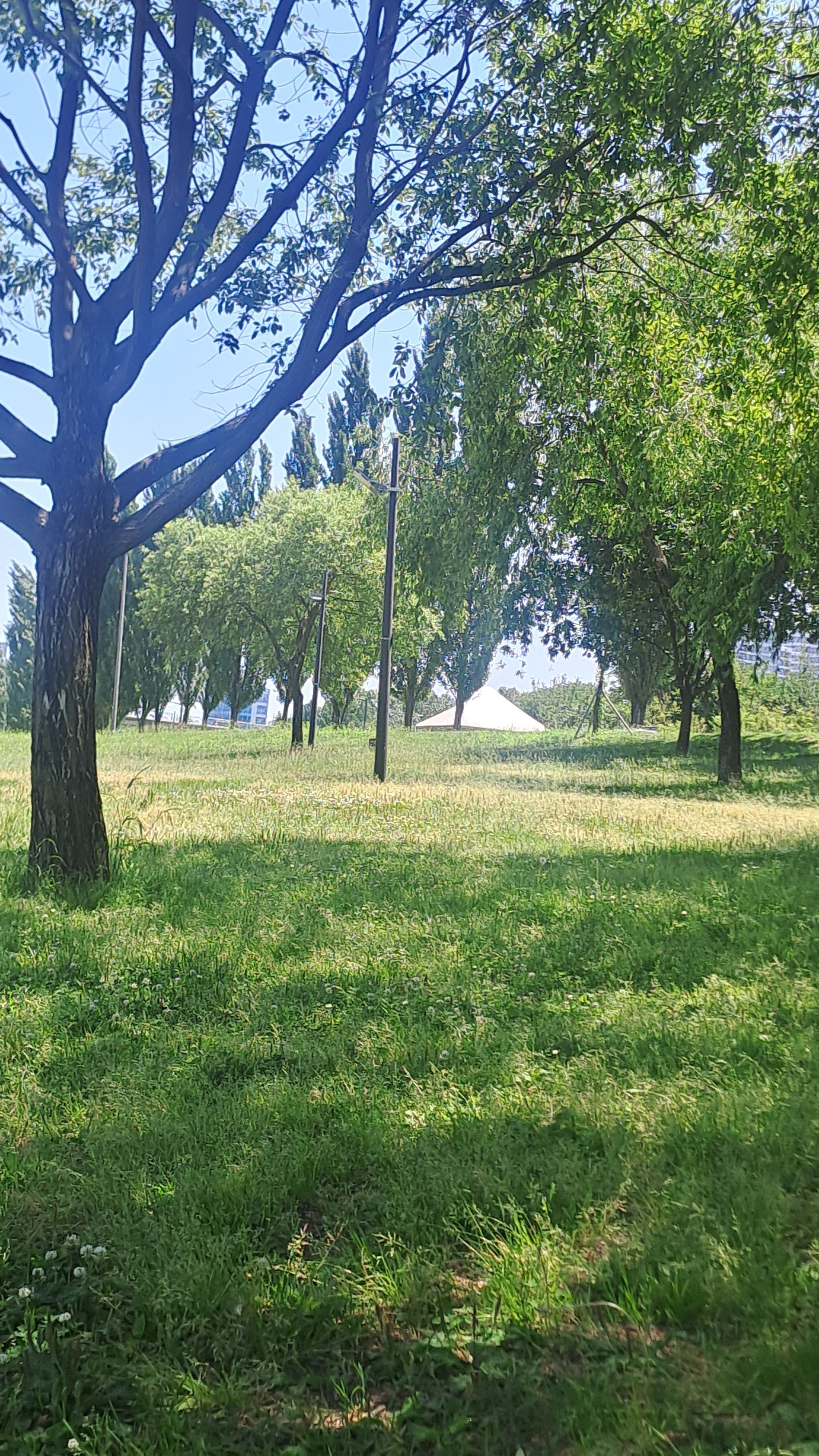 20260530_131728.jpg
