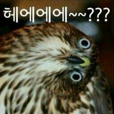 첨부 이미지
