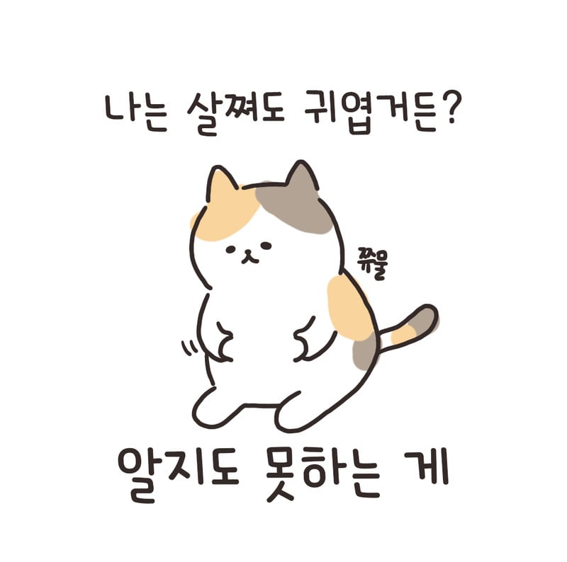 첨부 이미지