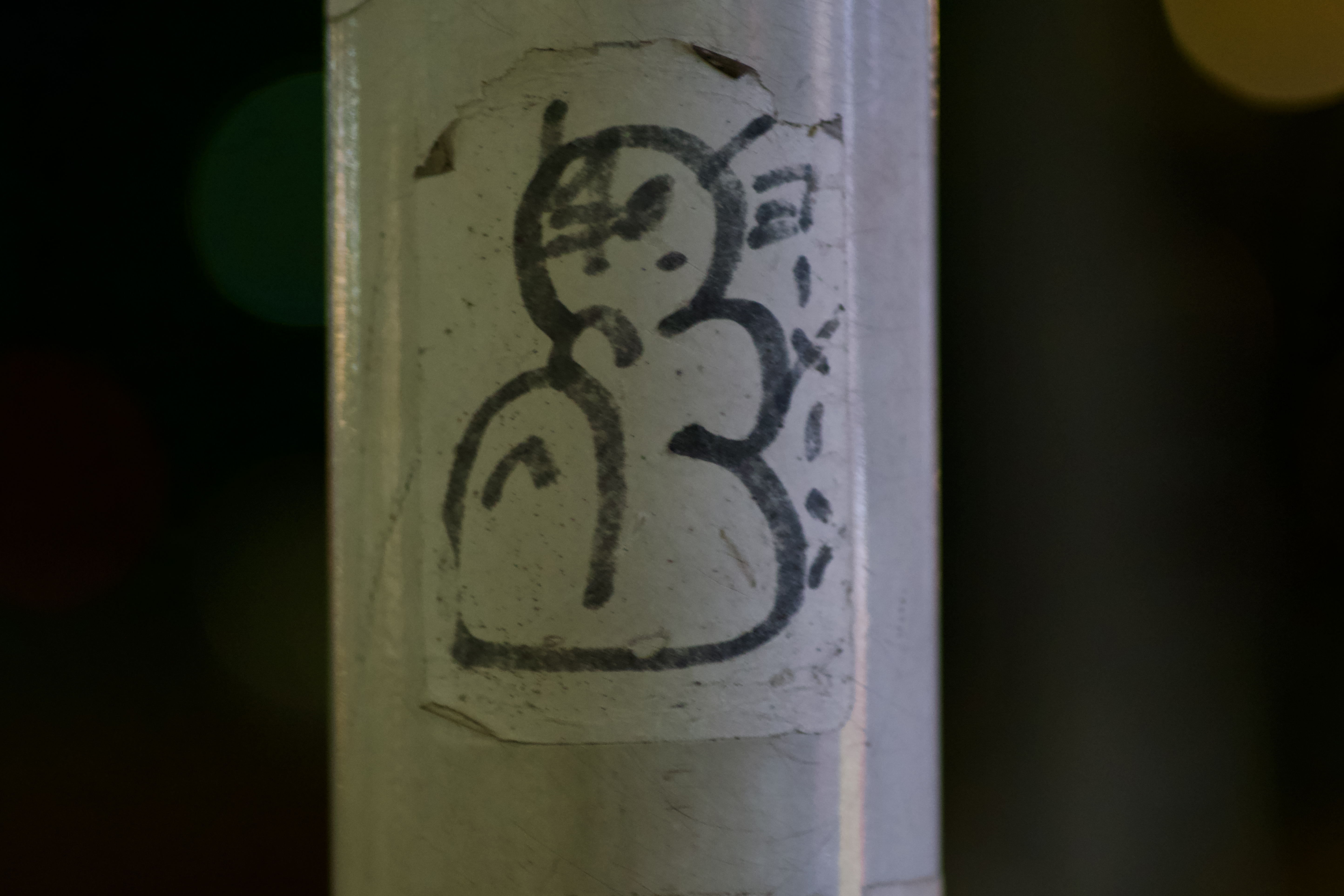 DSC01101.jpeg