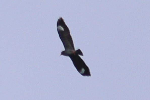 109L0763.JPG