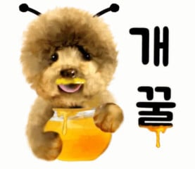 첨부 이미지