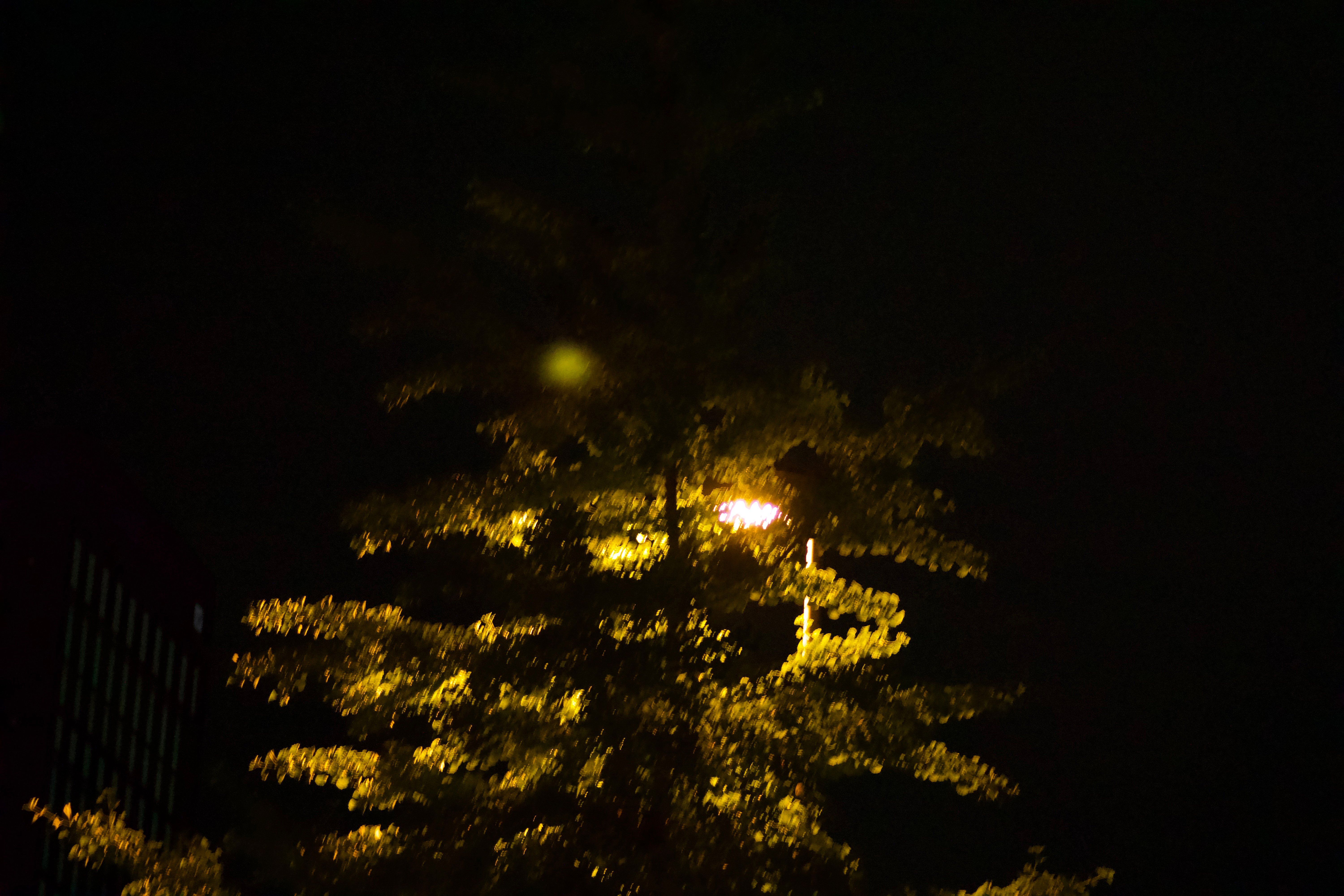 DSC01117.jpeg
