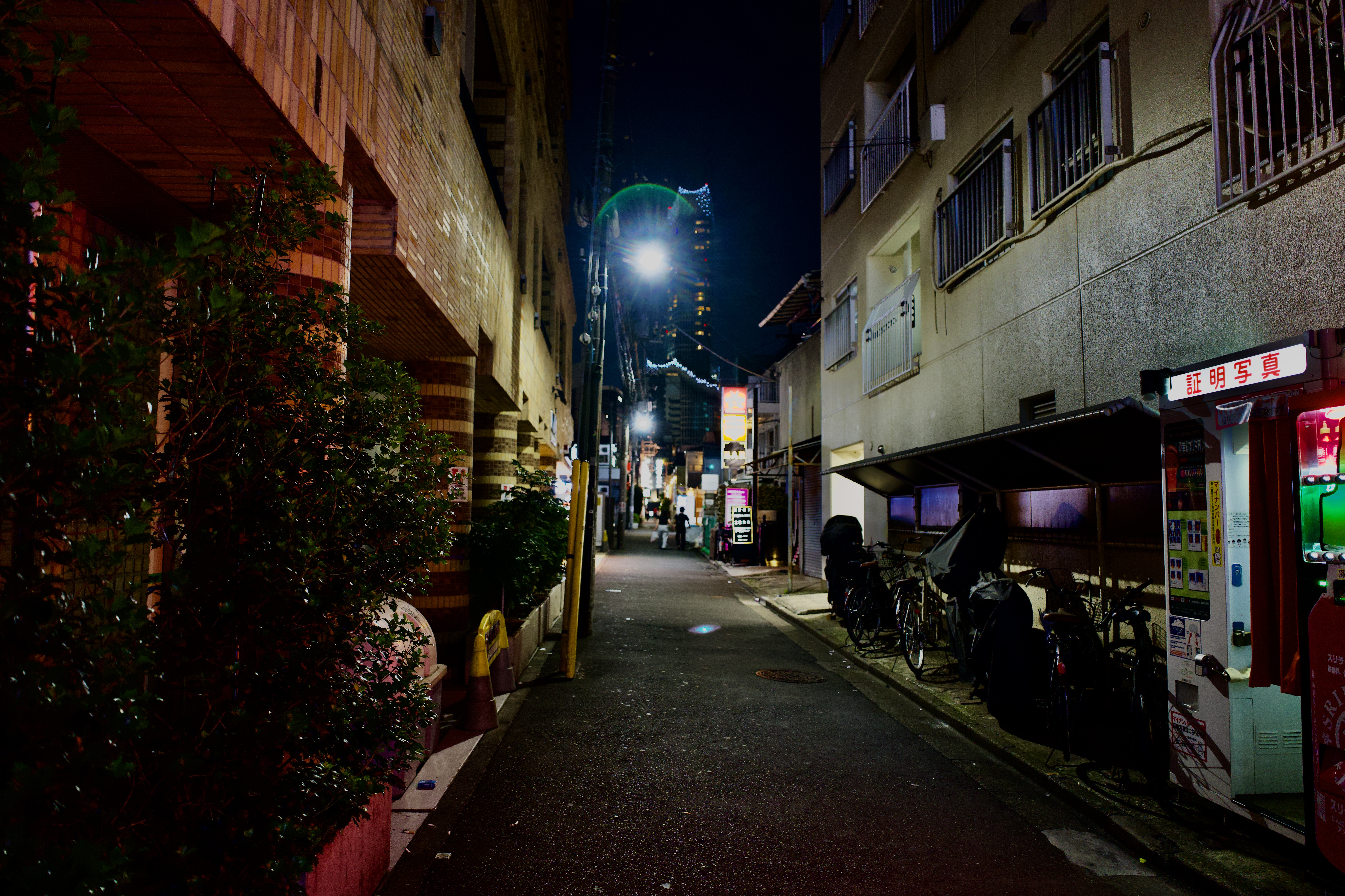 DSC01852.jpeg