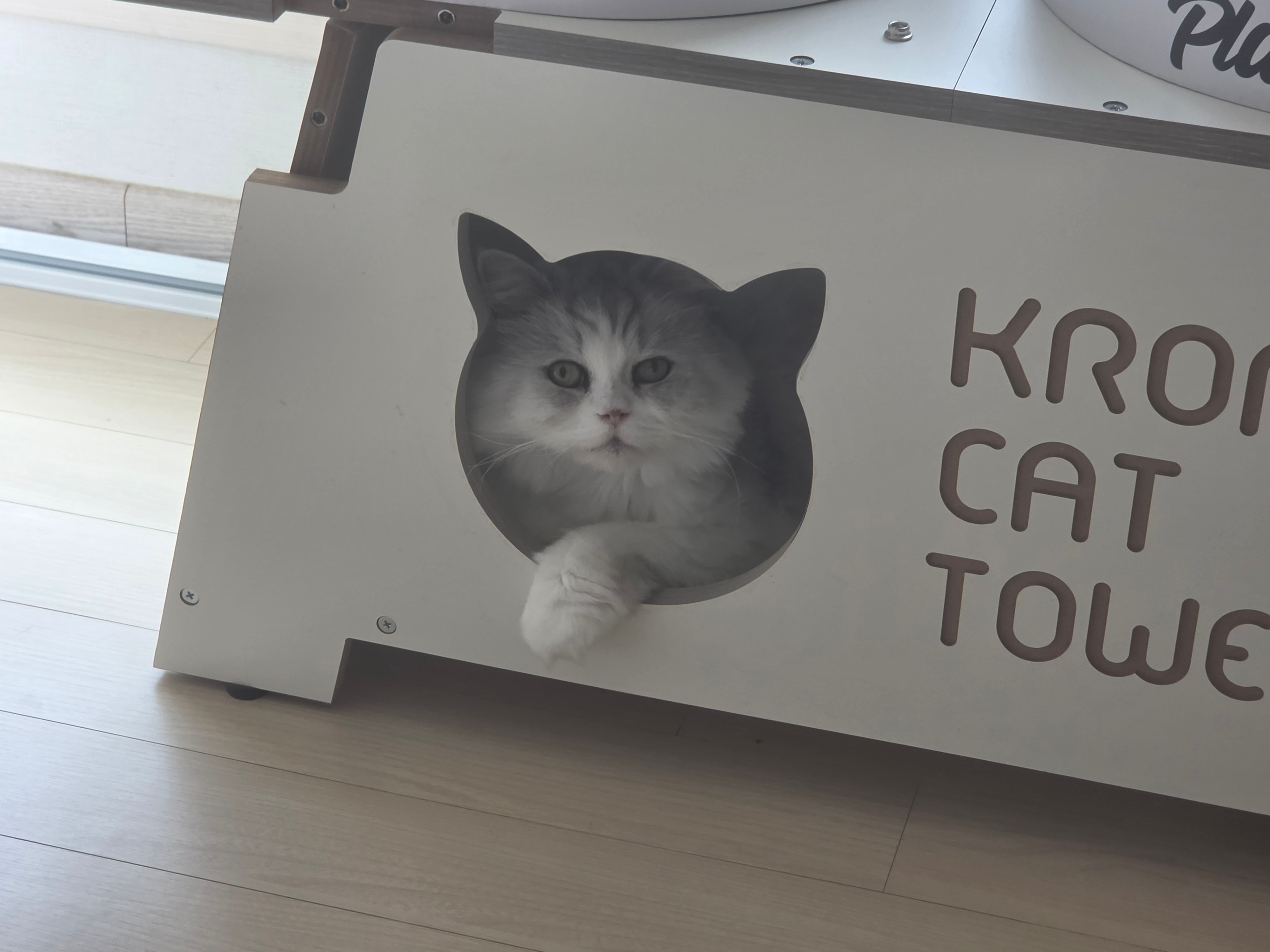 첨부 이미지