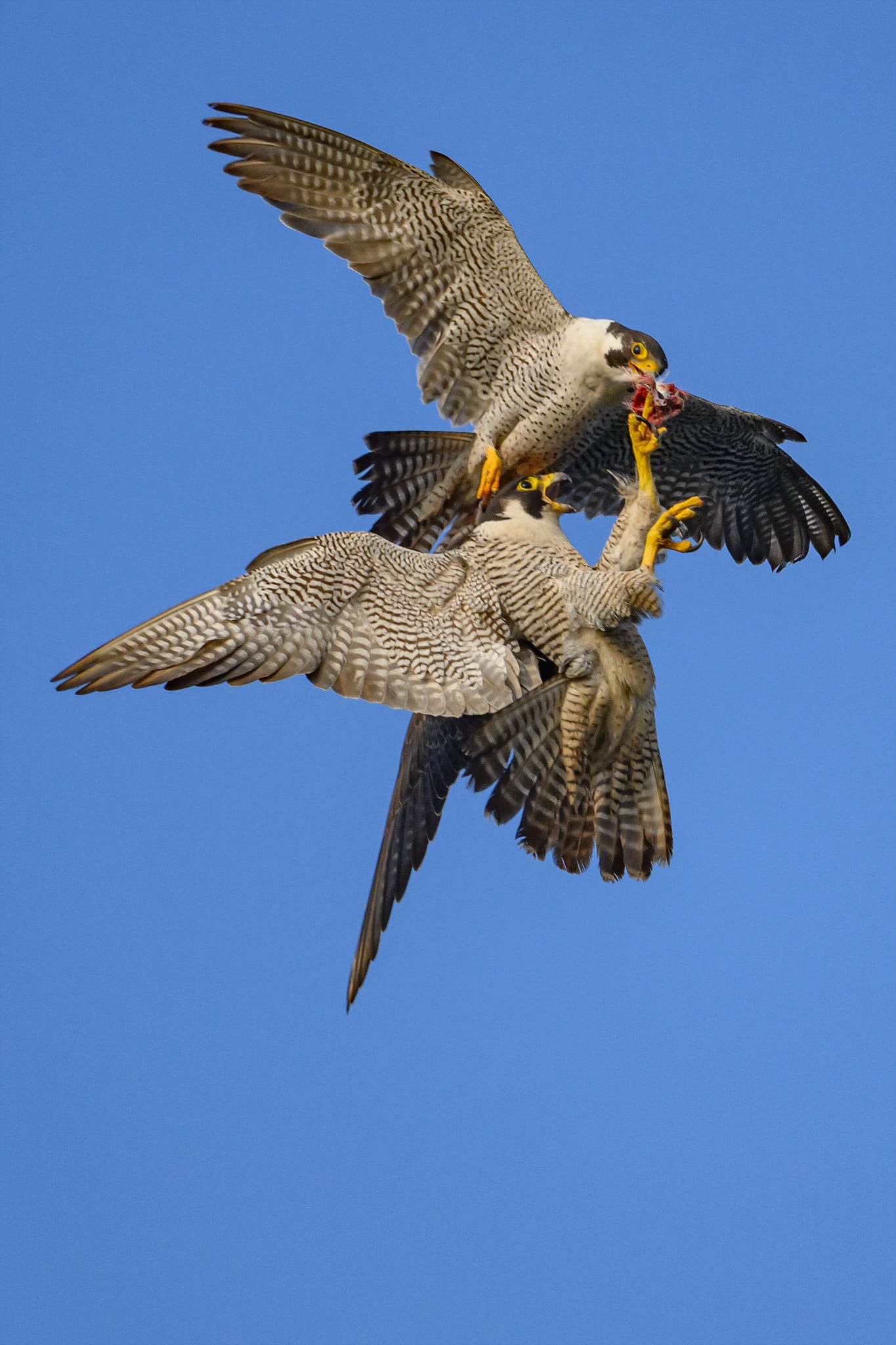 DSC_7756.jpg