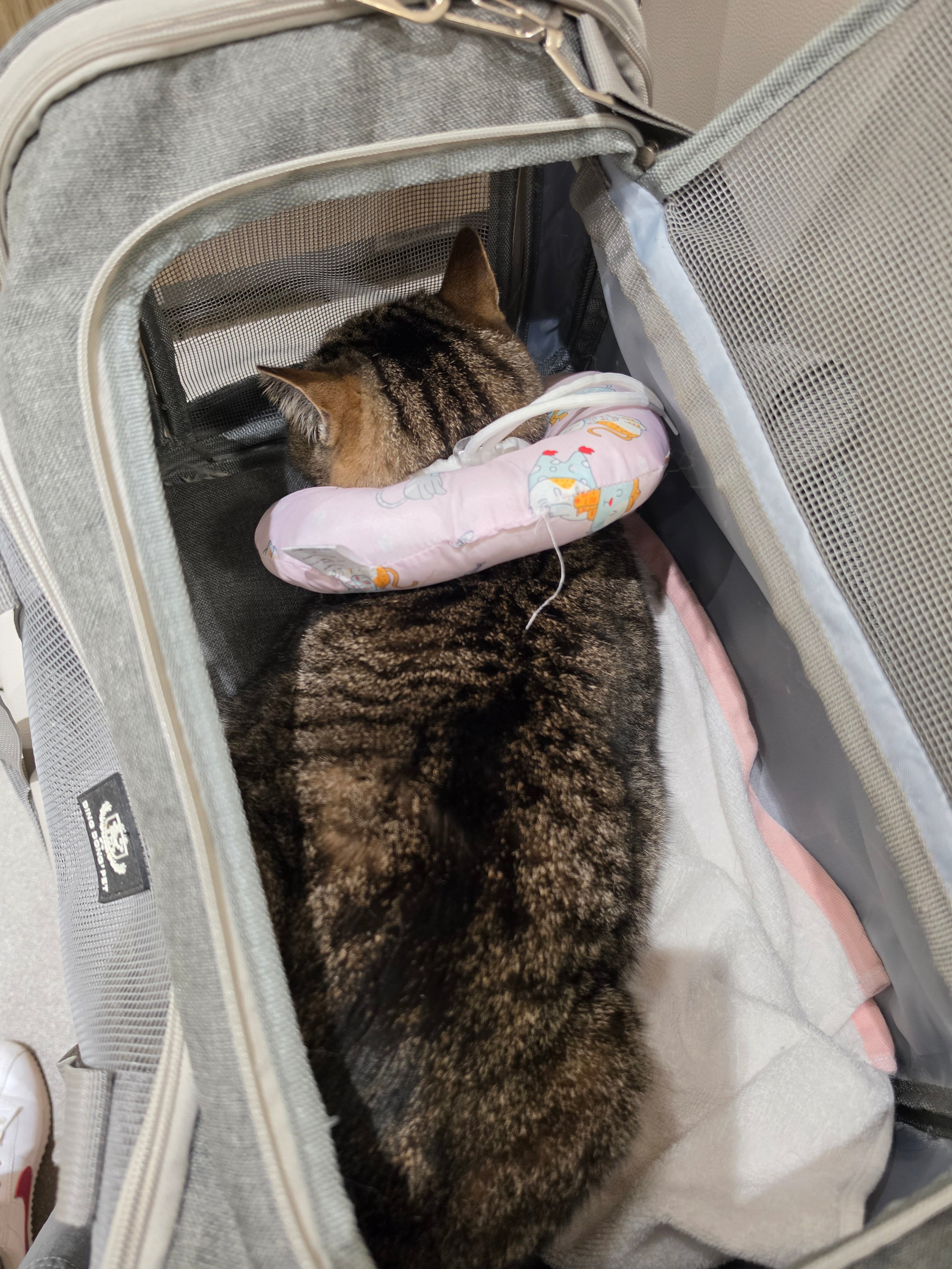 첨부 이미지