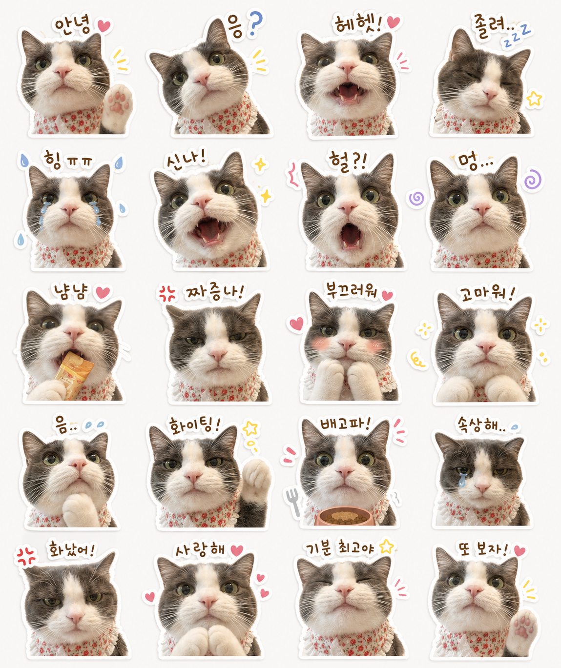 첨부 이미지