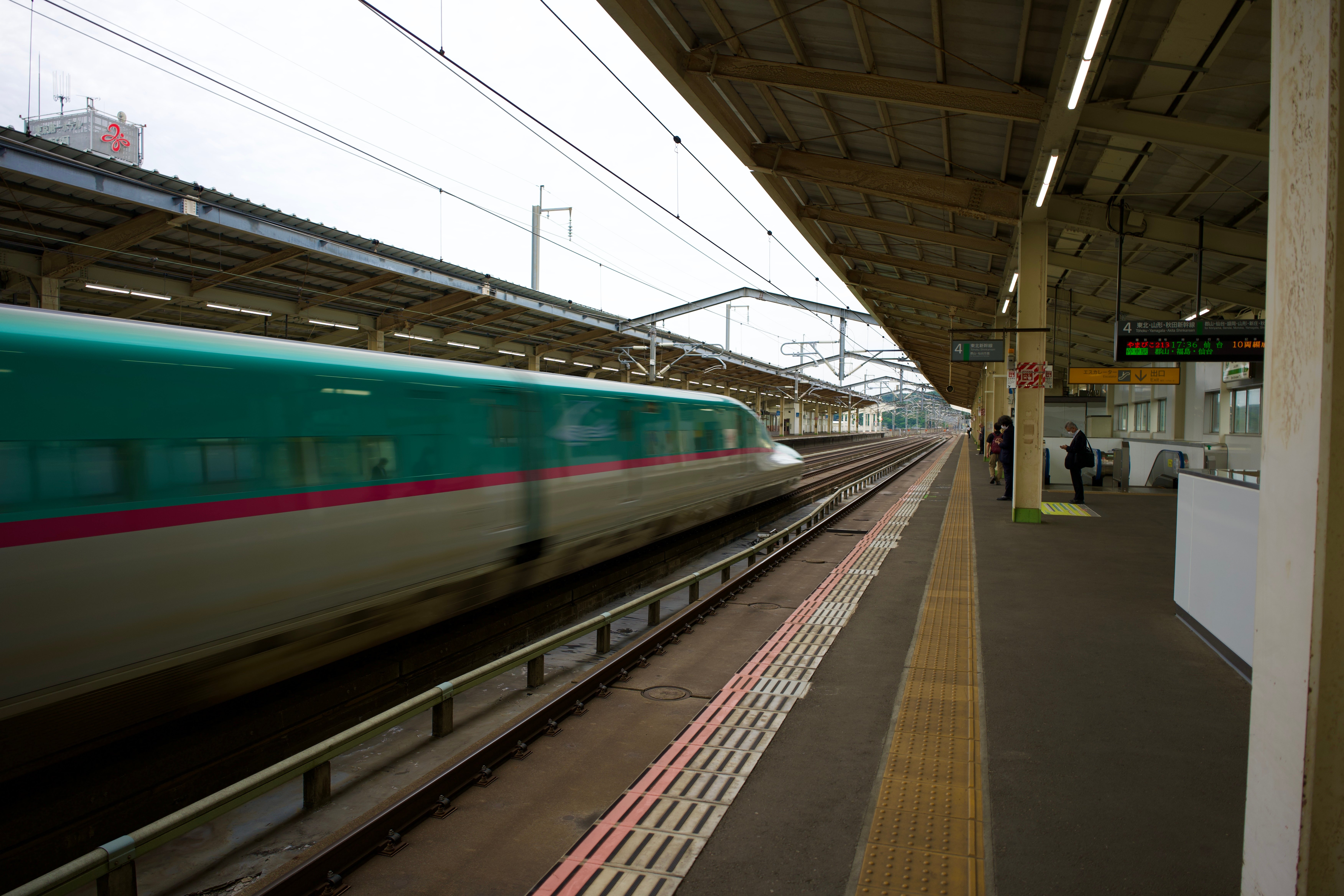 DSC01905.jpeg