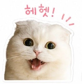 첨부 이미지