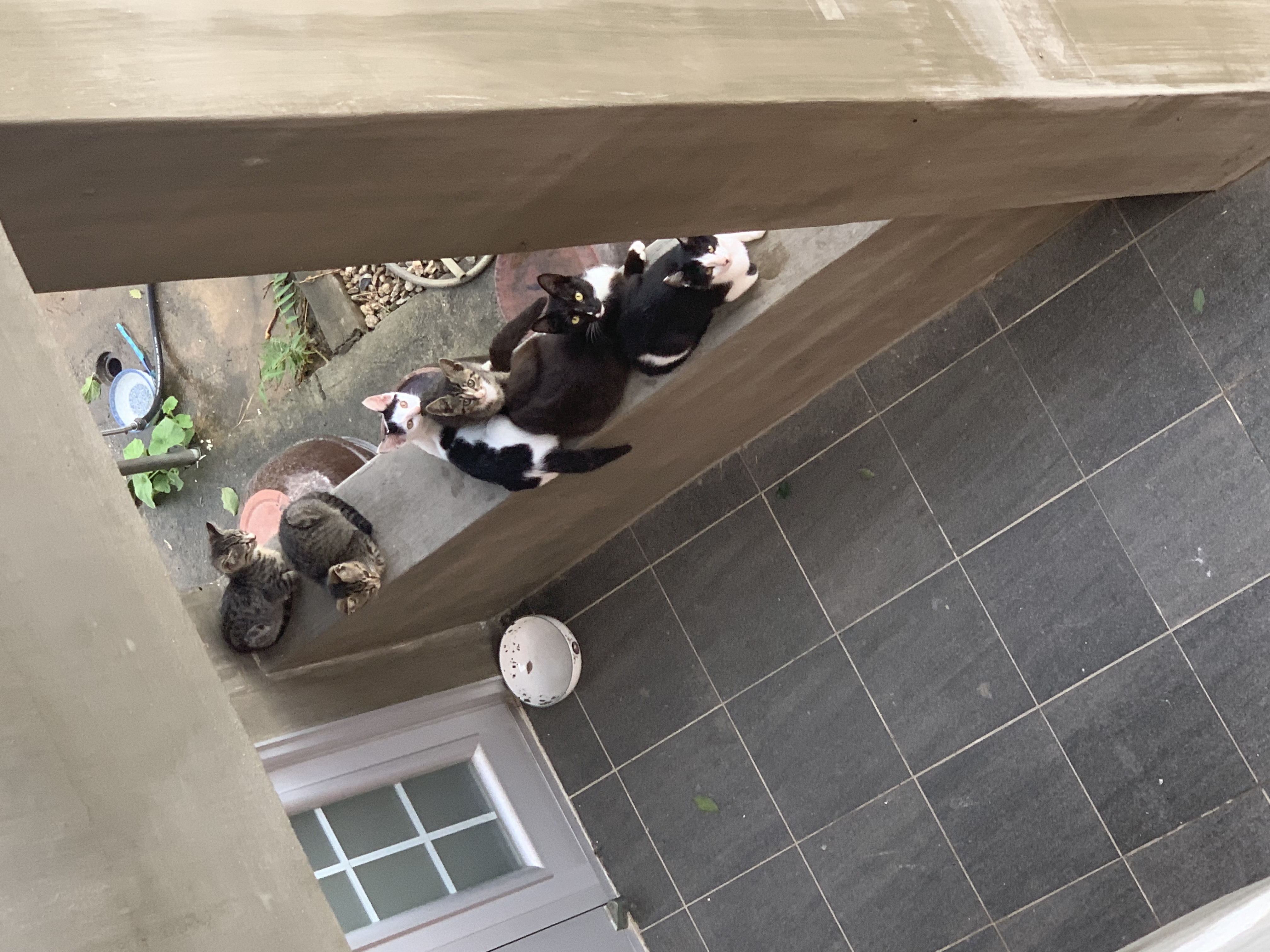 첨부 이미지