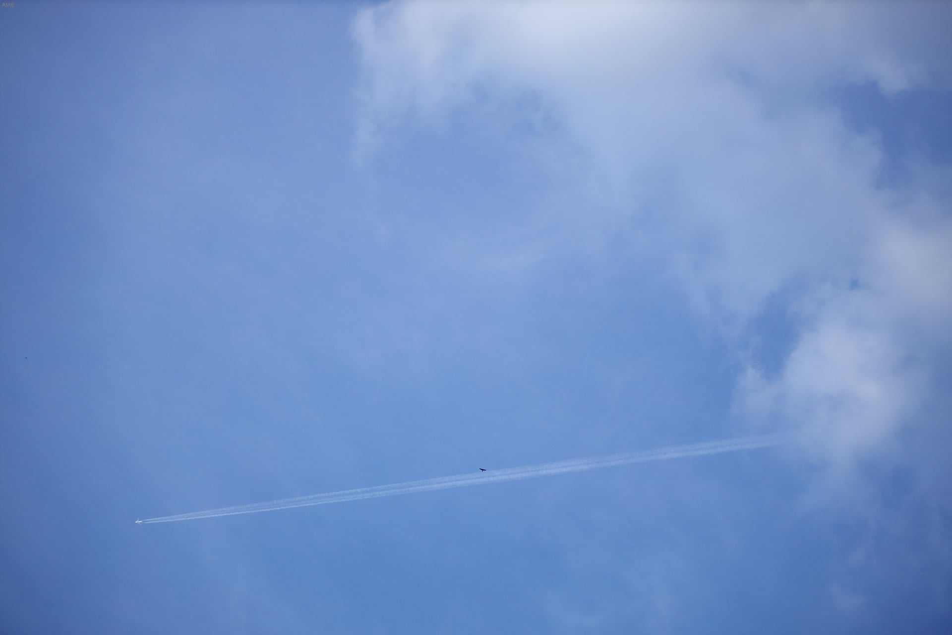 109L0662.jpg