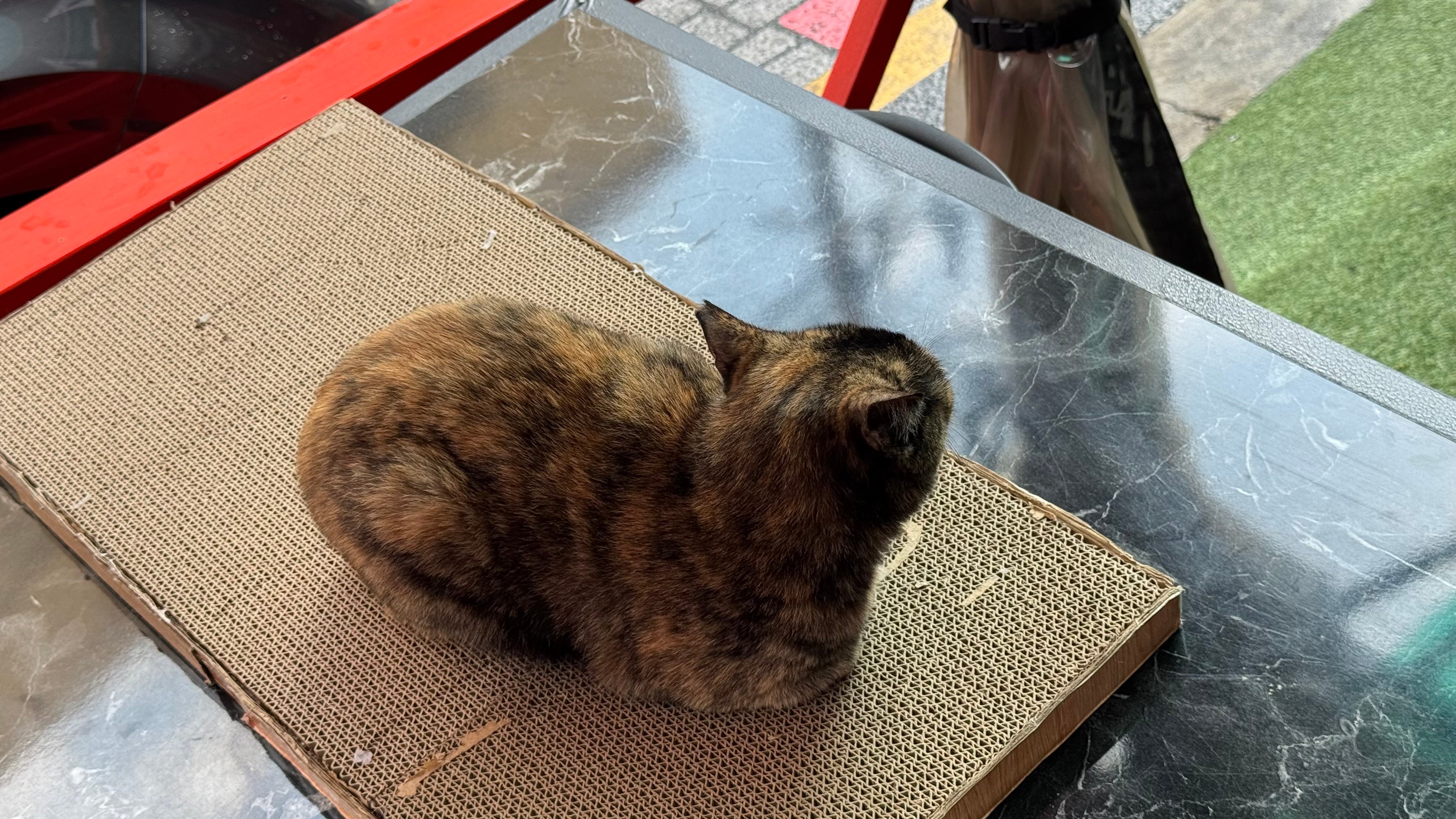 IMG_3877.jpeg