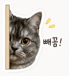 첨부 이미지