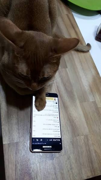 첨부 이미지