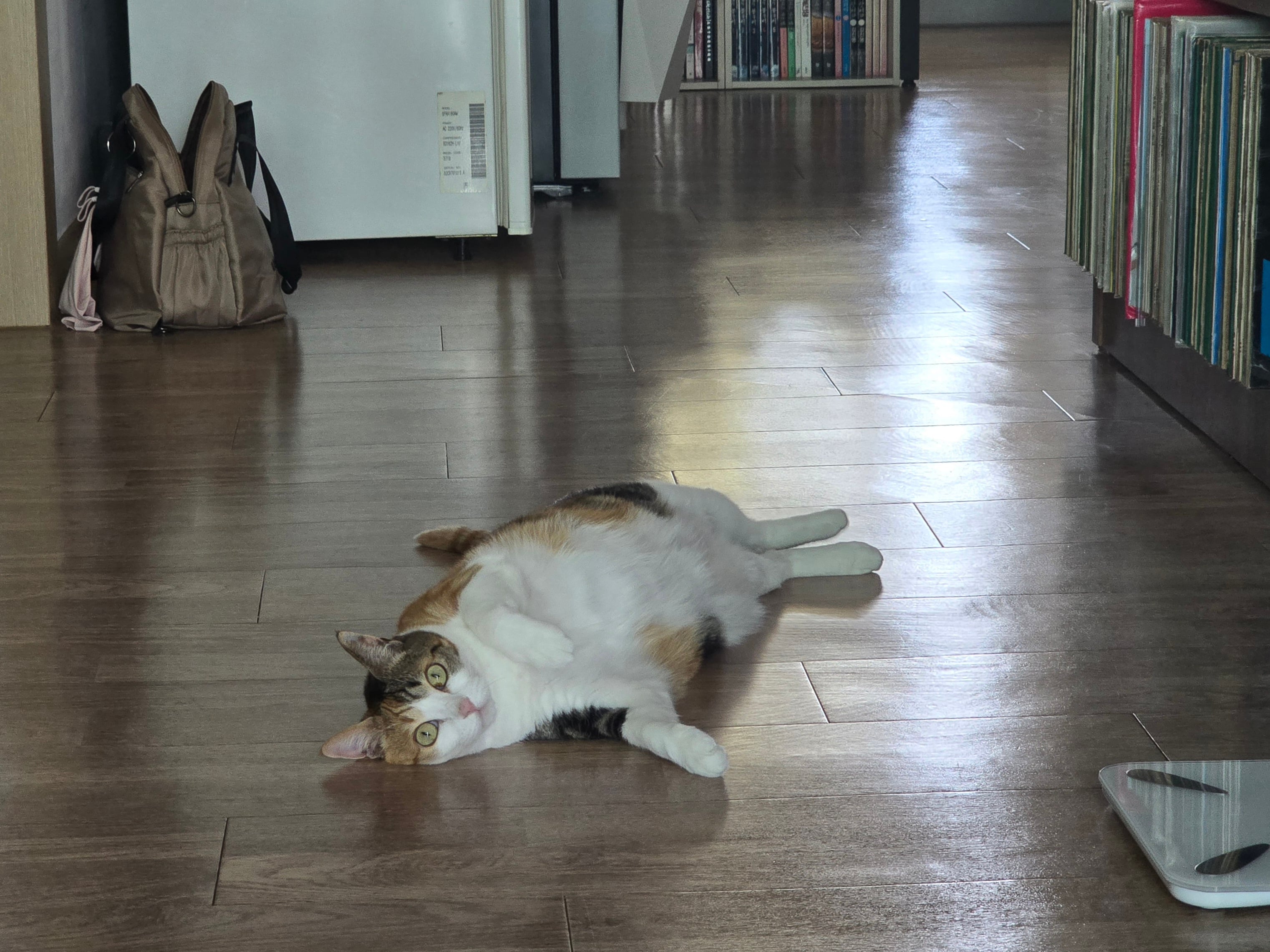 20260614_141554.jpg