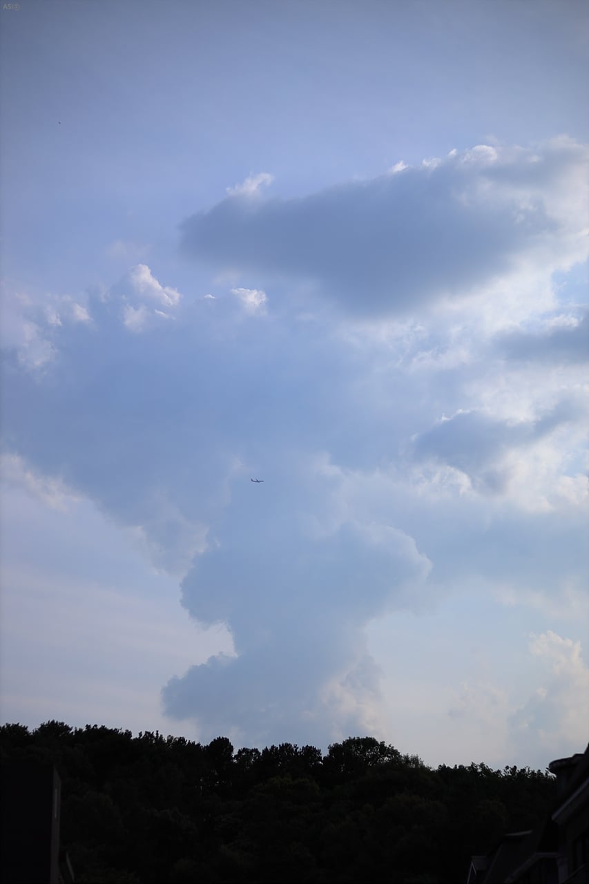 109L0629.jpg
