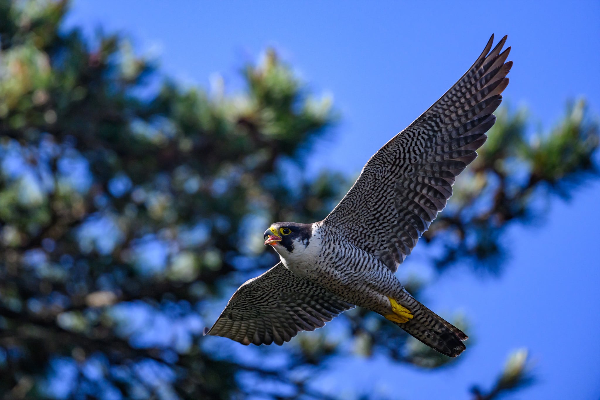 DSC_2289.jpg