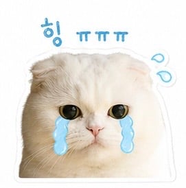 첨부 이미지