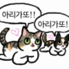첨부 이미지