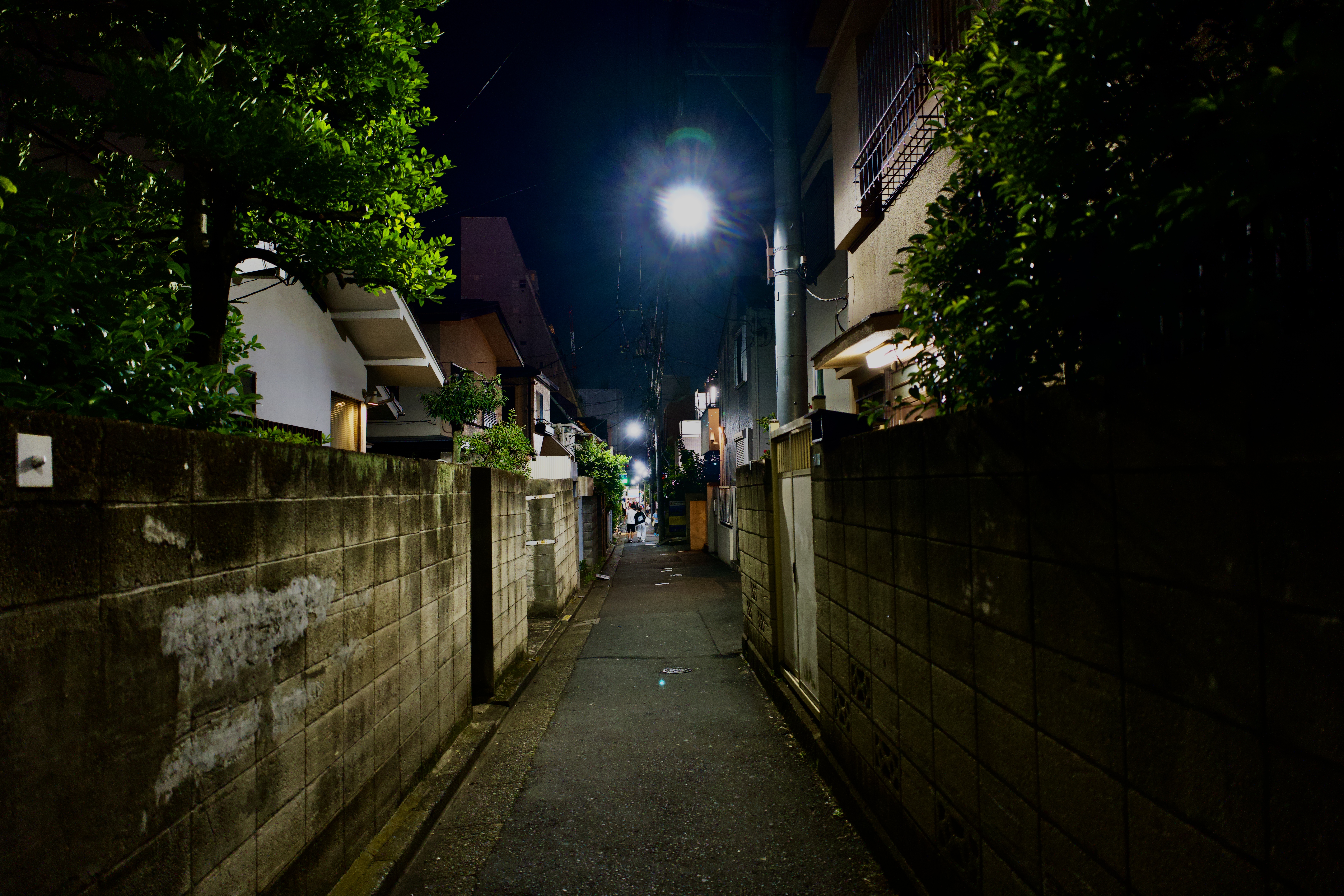 DSC01863.jpeg