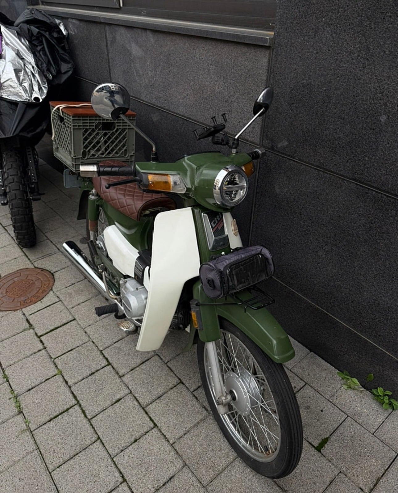 IMG_7728.jpeg