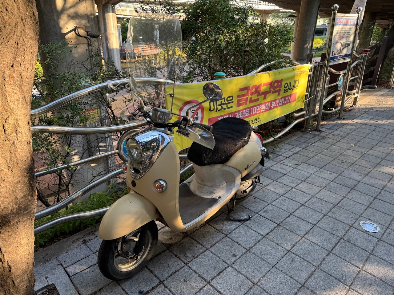 IMG_7567.jpeg