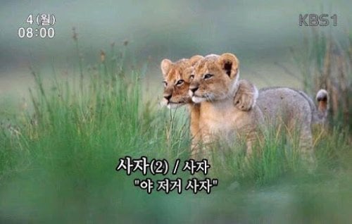 첨부 이미지