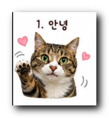 첨부 이미지
