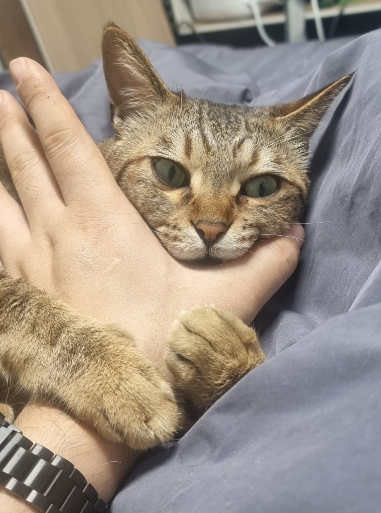 첨부 이미지