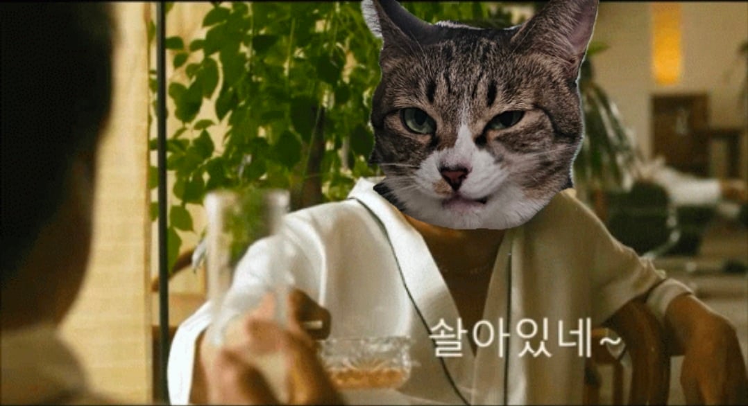 첨부 이미지