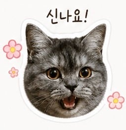 첨부 이미지