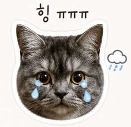 첨부 이미지
