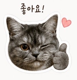 첨부 이미지