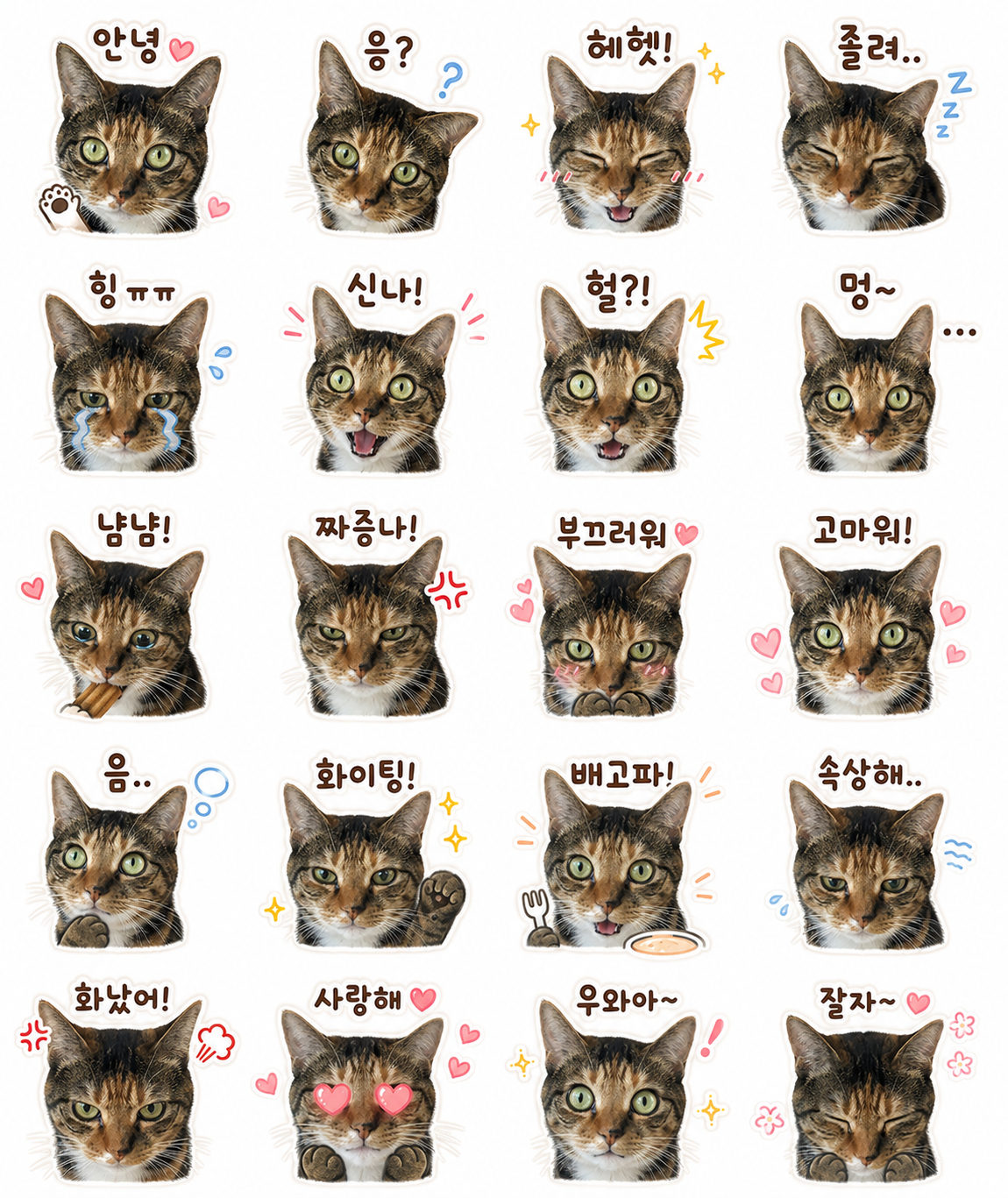 file_00000000bb6471f8b697b19c991ea707.png
