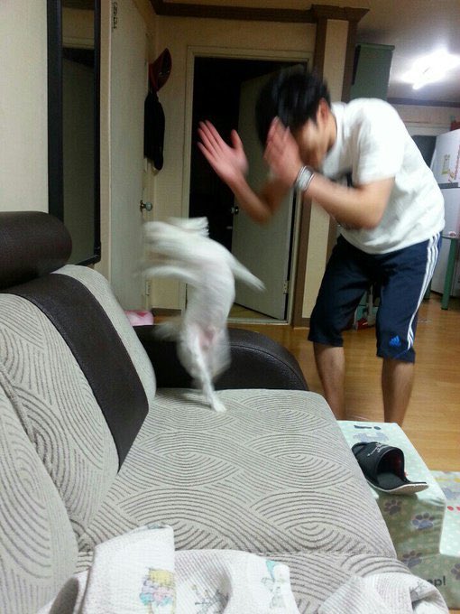 첨부 이미지