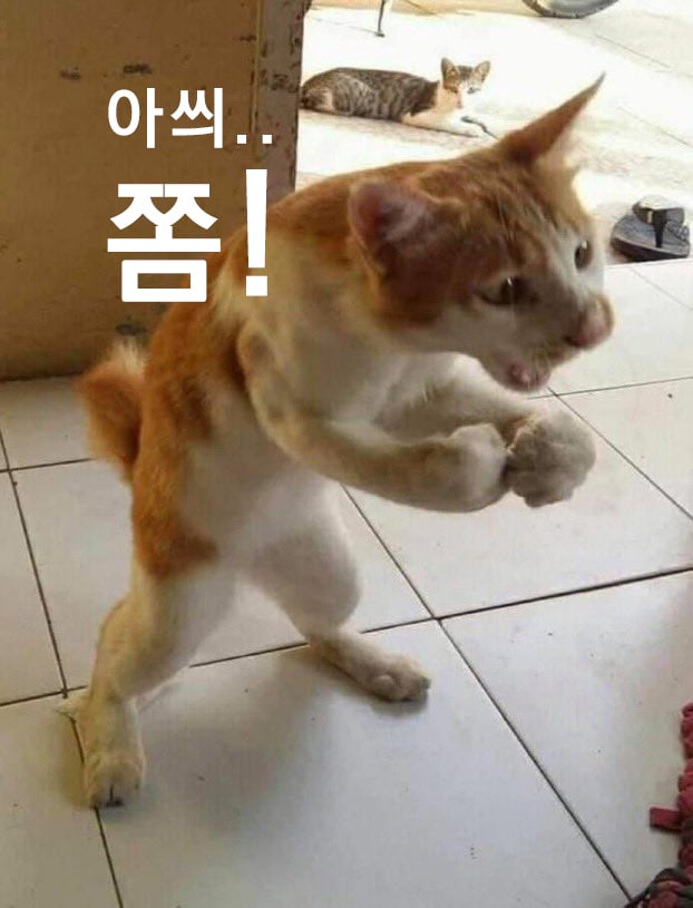 첨부 이미지