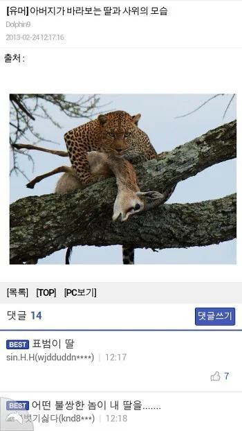 첨부 이미지