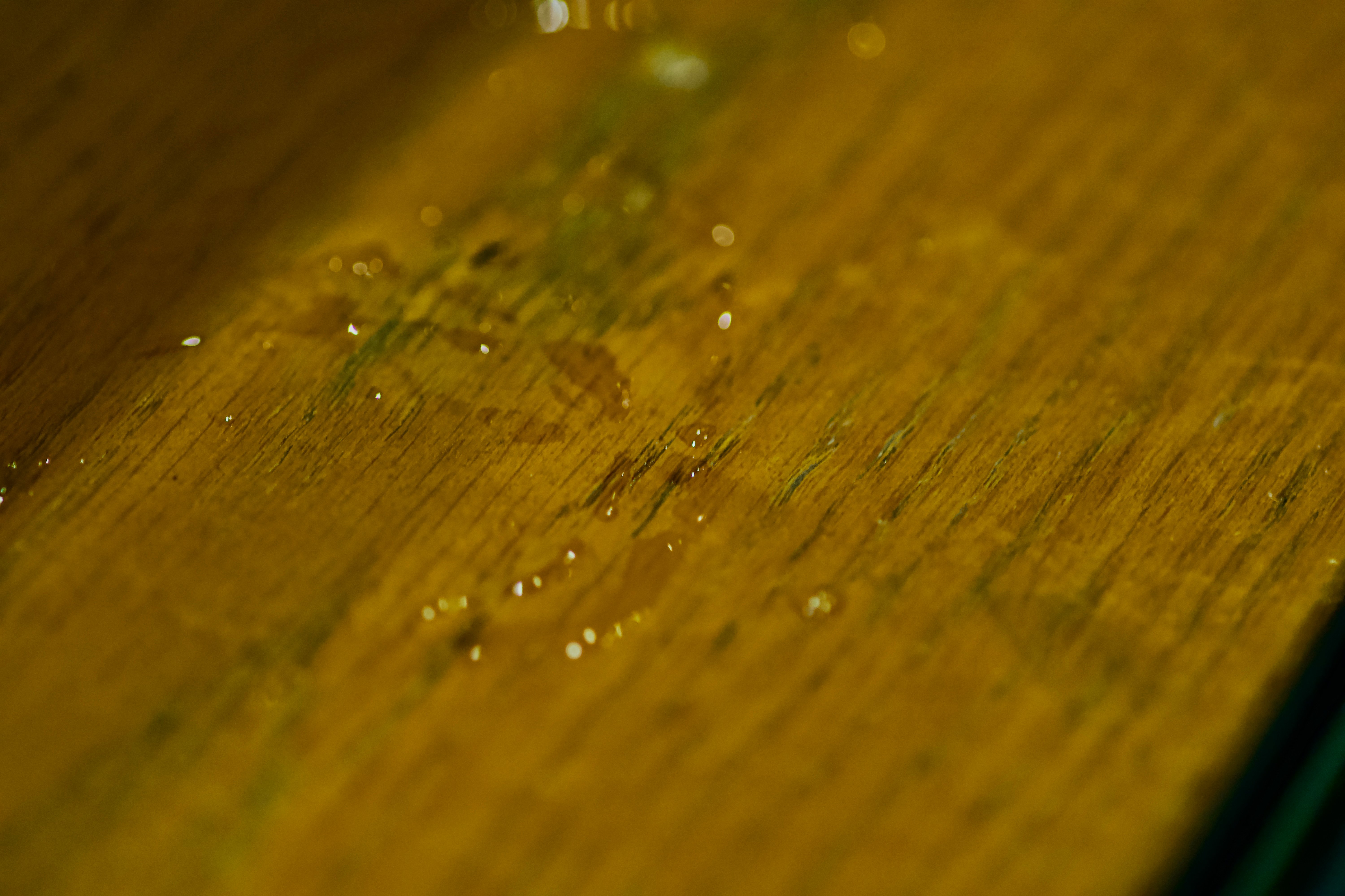 DSC01113.jpeg