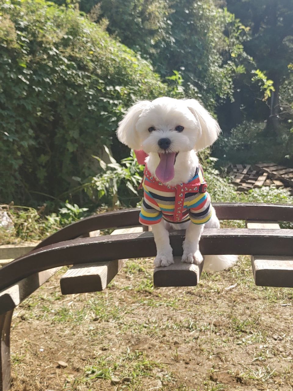 첨부 이미지