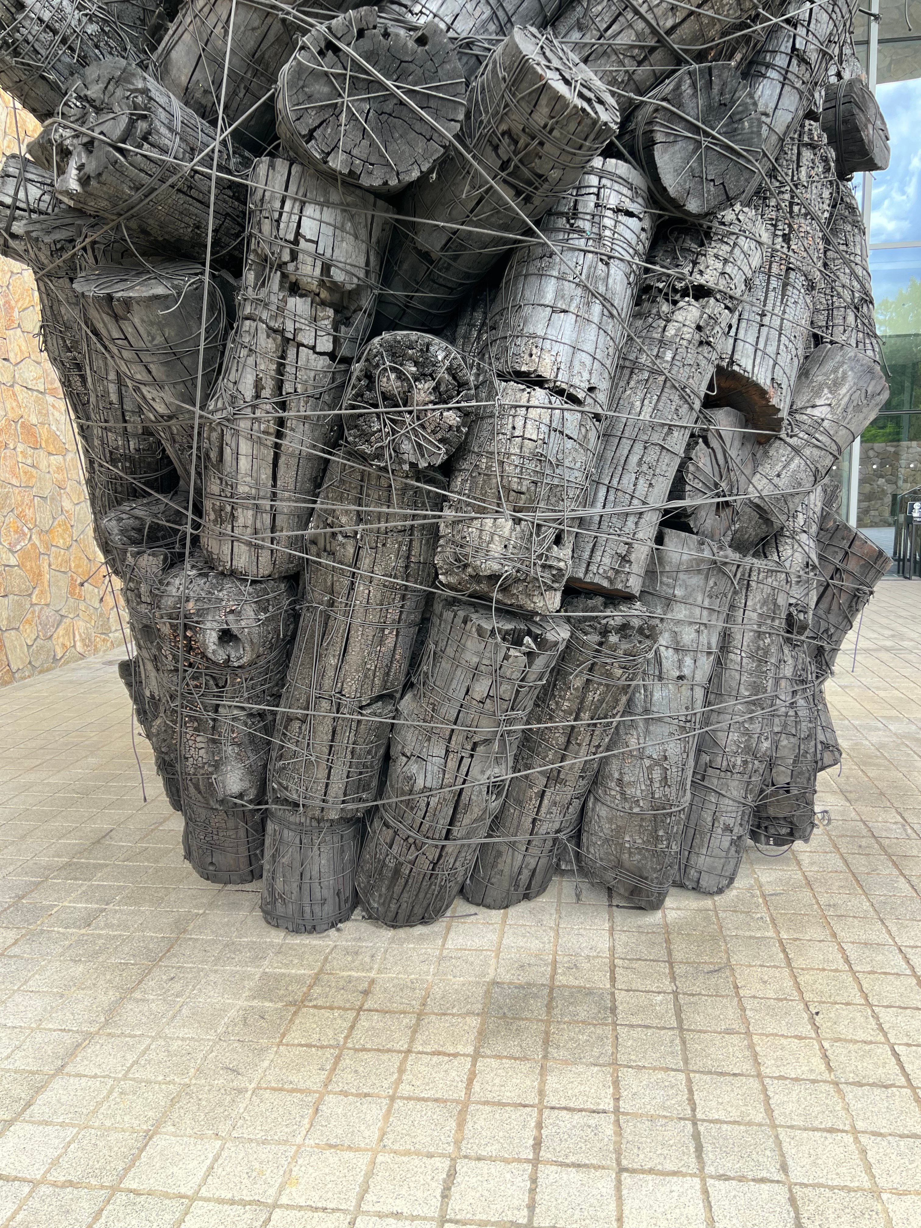 IMG_0360.jpeg