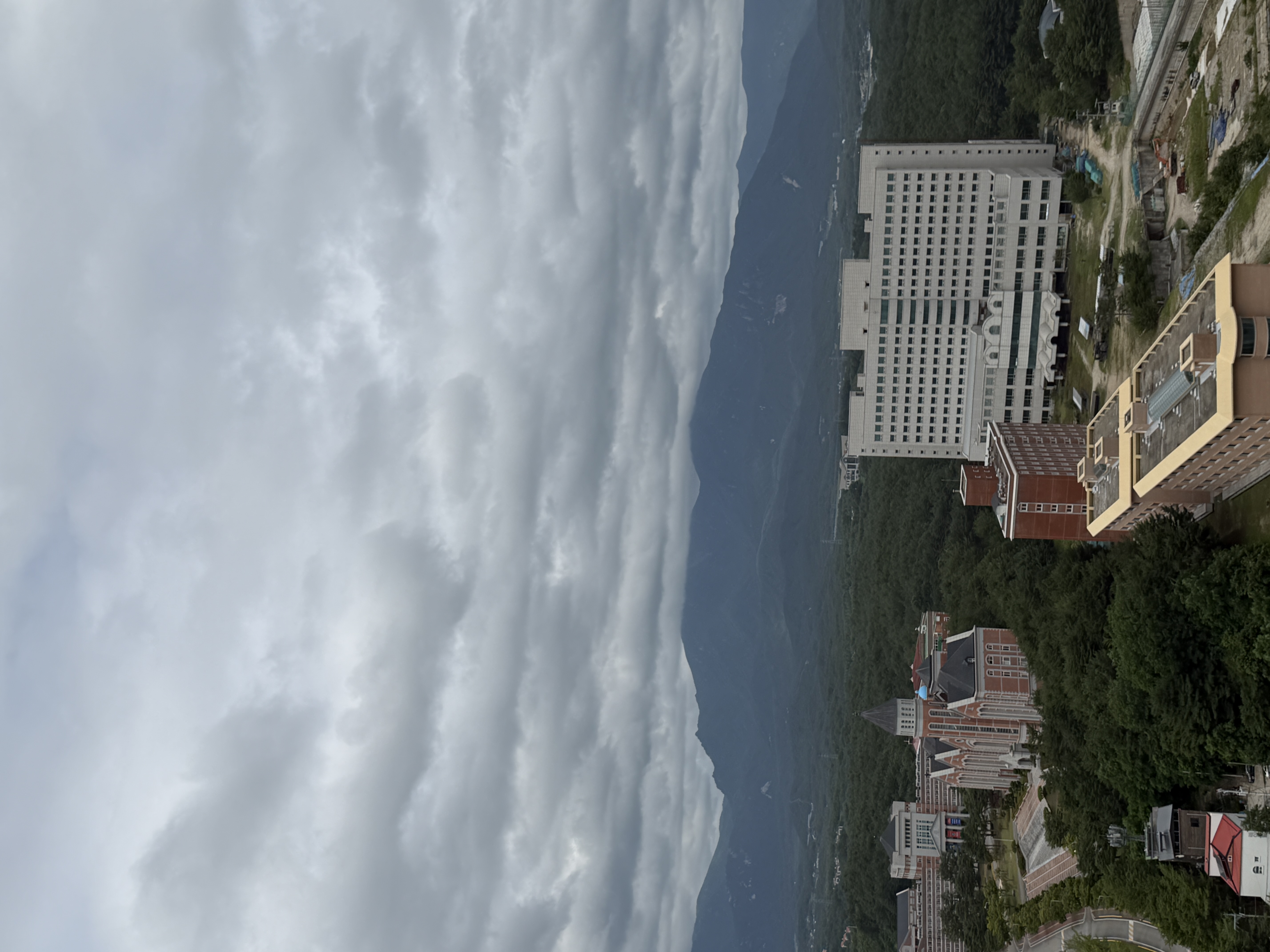 IMG_0399.jpeg