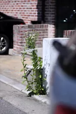 작은 배려
