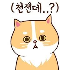 첨부 이미지