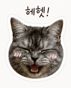 첨부 이미지