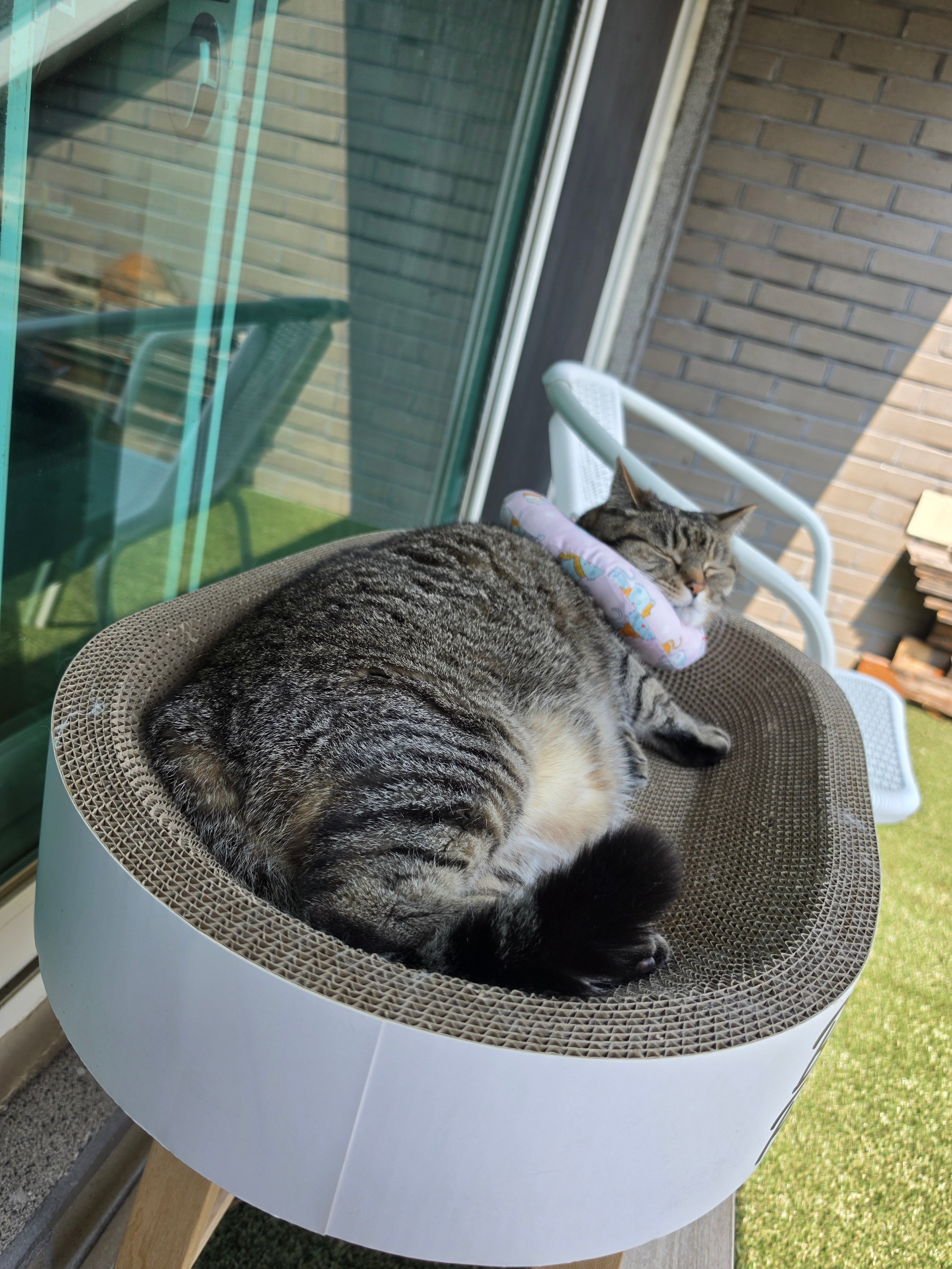 첨부 이미지