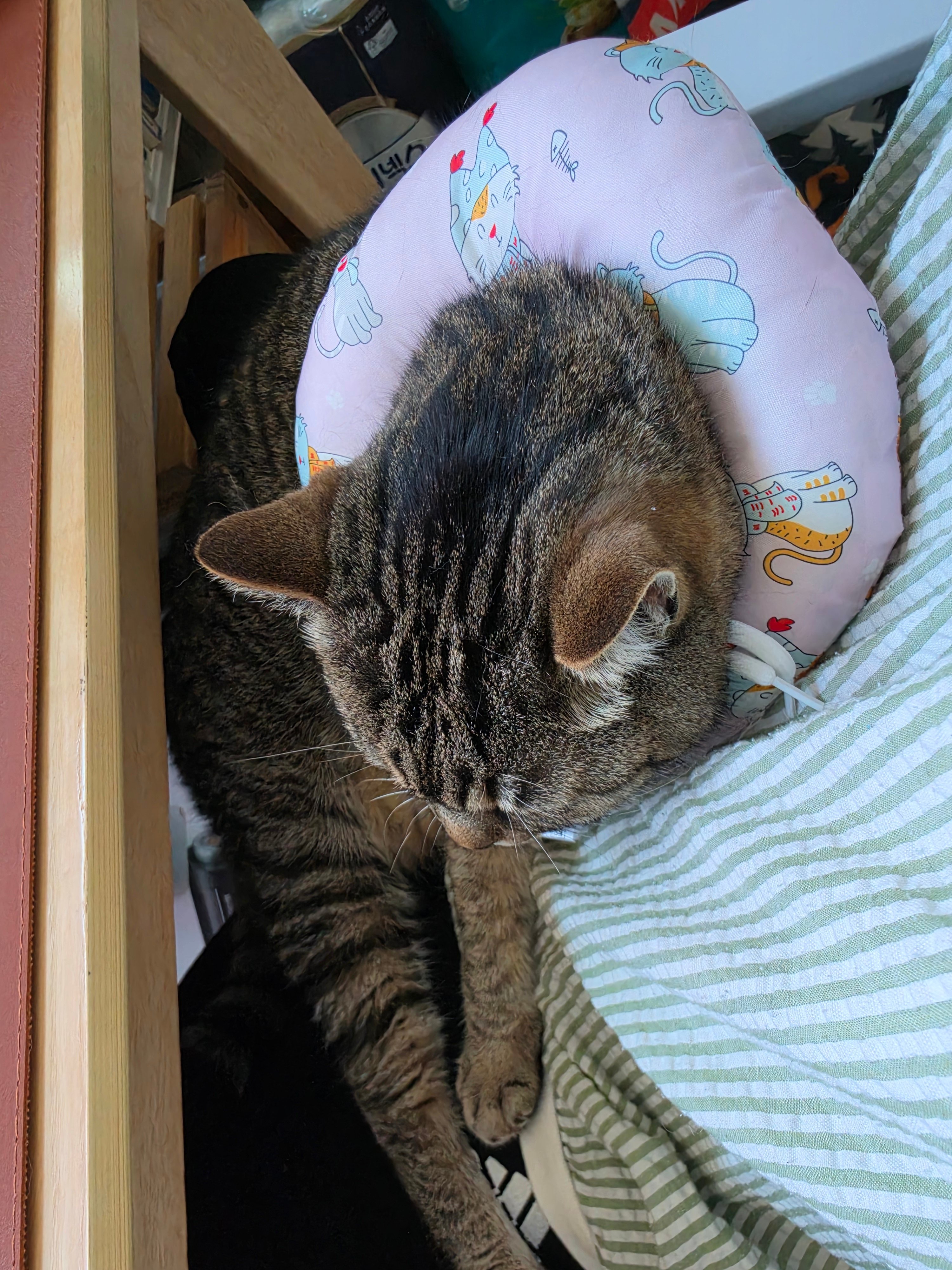 첨부 이미지